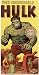 Incredible Hulk Model Kit