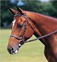 Gladstone Fancy Sewn Bridle with Laced Reins