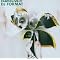 Fabric top 10