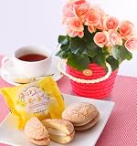 【送料無料】かわいいリーガースとブッセのセット【お誕生日・お祝い・プレゼント】
