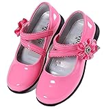 RoRykon 子供フォーマル靴 ガールズシューズ 女の子 子供靴 シューズ ドレス用 七五三 誕生日 結婚式 入園式 発表会 プレゼント 演奏会 花嫁介添人 フラワー飾り (30码/内长18.7cm