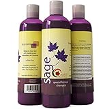 Maple Holistics Sage Shampoo for Anti Dandruff with Jojoba, Argan, and Organic Tea Tree Oil - Natural, Sulfate Free Treatment for Women and Men - Safe for Color Treated Hair
