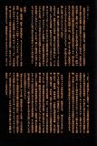 PLUS MADHOUSE 3 ���� ��
