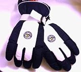 Reebok Pittsburgh Penguins Team Logo Ski Winter Gloves (LARGE)INSULATED GLOVES TO KEEP YOU WARM