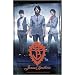 The Jonas Brothers 2009 Deluxe Wall Calendar