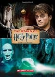 The World of Harry Potter Poster Book (Harry Potter Movie T)