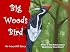 Big Woods Bird: An Ivory-bill Story