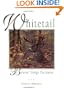 Whitetail Behavior Through the Seasons
