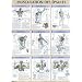 Musculation des �paules : Poster