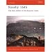 Naseby 1645: The triumph of the New Model Army (Campaign)