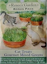 Cat Treats Gourmet Mixed Greens Large Packet 2200 Seeds