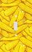 Corn on the Cob Collage Decorative Switchplate Cover