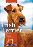 Irish Terrier: Charakter, Erziehung und Gesundheit