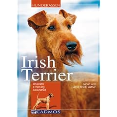 Irish Terrier: Charakter, Erziehung und Gesundheit