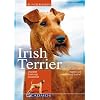 Irish Terrier: Charakter, Erziehung und Gesundheit