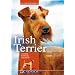 Irish Terrier: Charakter, Erziehung und Gesundheit