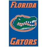 Lets Party By Party Animal Florida Gators Banner Flag
