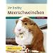 Ihr Hobby Meerschweinchen