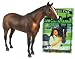 Breyer Saddle Club Horse - Toys - Comanche with ''Horse Shy'' B