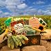 The Vintage Gardener Flower Box Gift Set
