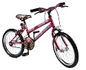 Universal Rock Chick  18" Girls Mountain Bike