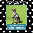 The Fabulous Life of Roux Toulouse