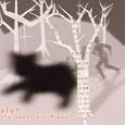 The Sweet Black Bear