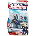 Transformers Animated Deluxe Blackarachnia Action Figure