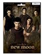 The Twilight Saga: New Moon - Merchandise (8 Fridge Magnets - Jacob & The Wolfpack) (Various Sizes)