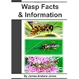 wasp facts  information