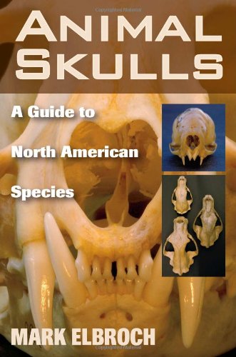 Animal Skulls: A Guide to North American Species