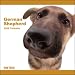 2009 German Shepherd Dog ARTLIST Square Wall Calendar