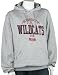 Soffe University of Arizona Oxford Hoodie with Print Logo