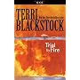 Trial by Fire (Newpointe 911 S.)
