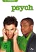 Psych - 1. Staffel [4 DVDs]
