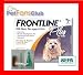 Pet Supplies : 6 Month Supply Frontline Plus Kit for Small Dogs up to 22 Pounds