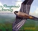 The Peregrine's Journey: A Story of Migration