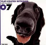 Flat-Coated Retriever 2007 Calendar (Artlist Collection: The Dog)