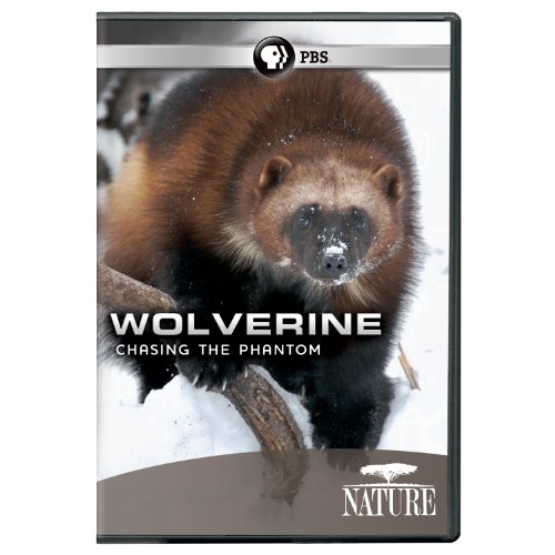  Nature: Wolverine: Chasing the Phantom