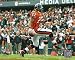 Matt Forte Autographed Photograph - Chicago Bears Signed 8X10 Picture