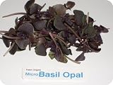 Micro Greens - Basil Opal - 4 x 8 oz