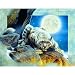 Edge of Night 1000+pc Jigsaw Puzzle by Kevin Daniels