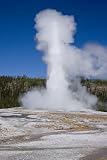 Old Faithful Faithfully Erupts - Iconic 16x20 Photographic Print by Carol M. Highsmith