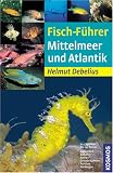 Fisch-Fuehrer Mittelmeer und Atlantik: Von Spanien bis zur Tuerkei. Von Norwegen bis Suedafrika