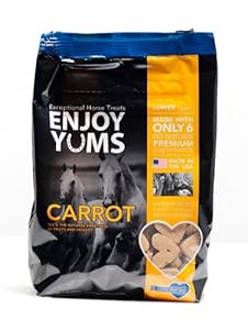 Enjoy Yums 1 Lb. bag Carrot Horse Treats.