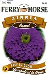Ferry-Morse Annual Flower Seeds 1177 Zinnia - Giant Double Flow Violetqueen 700 Milligram Packet
