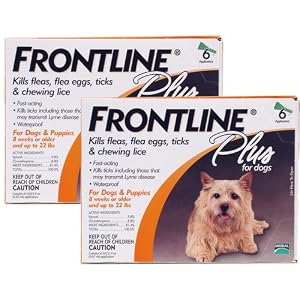 12 MONTH Frontline PLUS Orange for Dogs 0-22lbs.