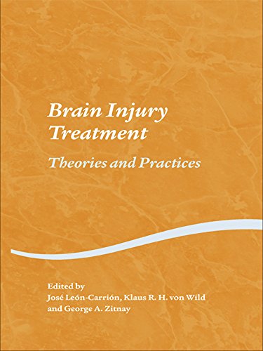 Brain Injury Treatment: Theories and Practices (Studies on Neuropsychology, Neurology and Cognition)
