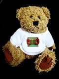 Teddy Bear mit Concertina, Akkordeon t-shirt