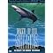 learn about the world of sharks